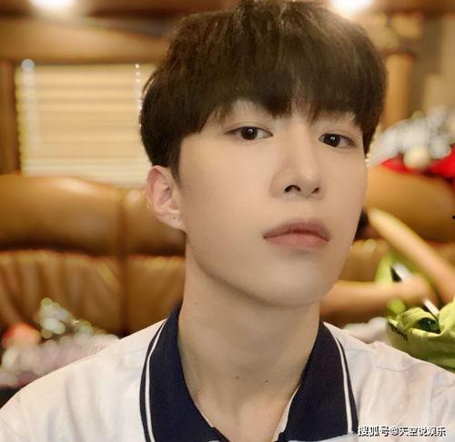 娱乐吃瓜酱王安宇,娱乐吃瓜界的“酱王”，揭秘娱乐圈幕后故事